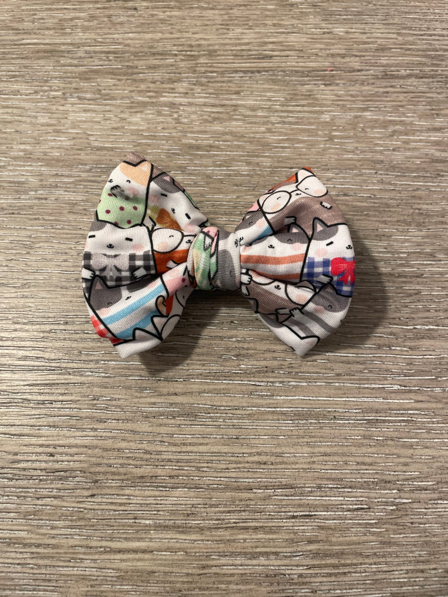 Cats with sweater clip bow