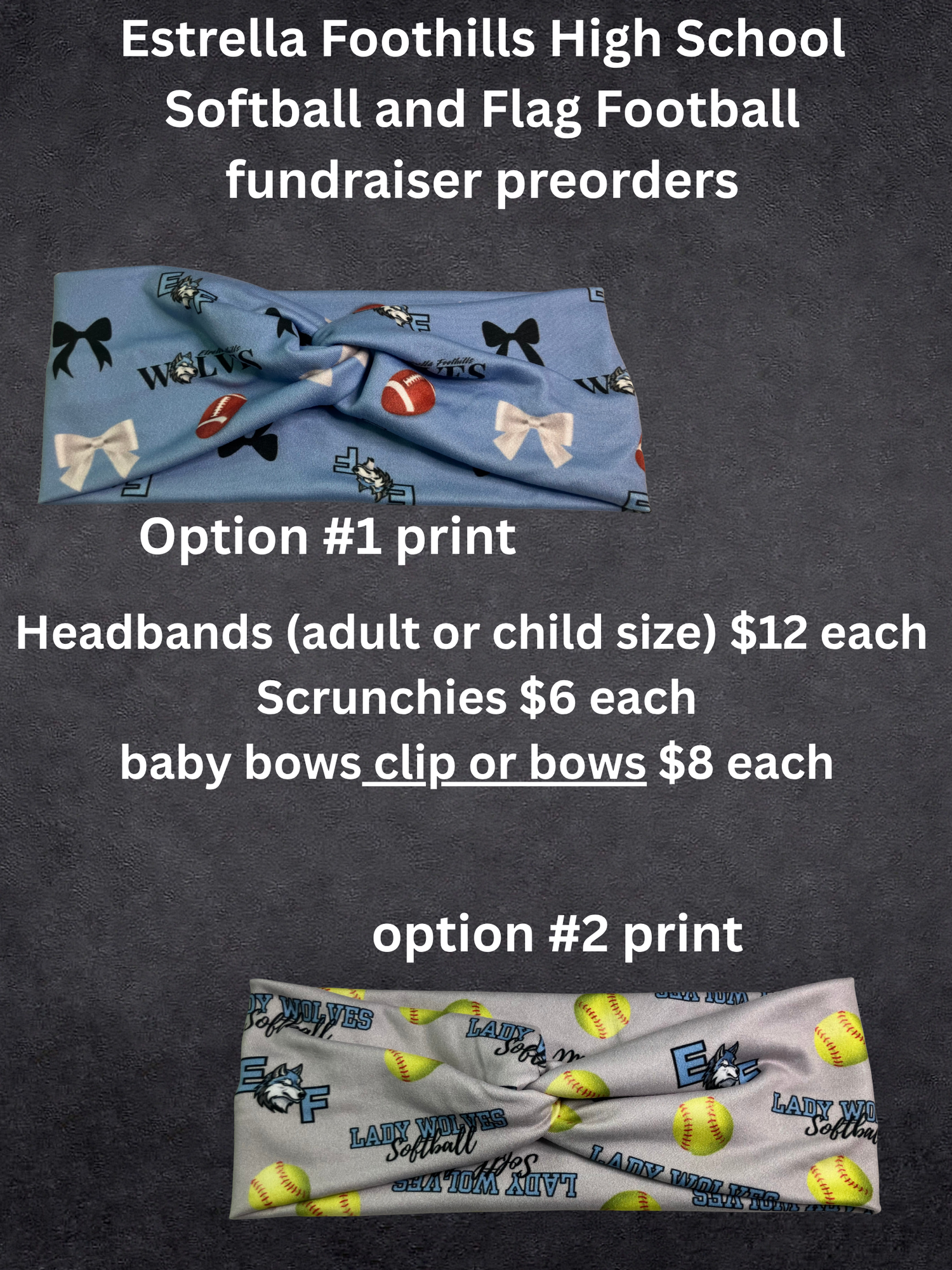 Estrella Foothills Fundraiser