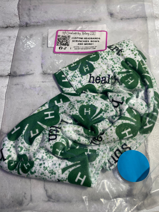 4h adult